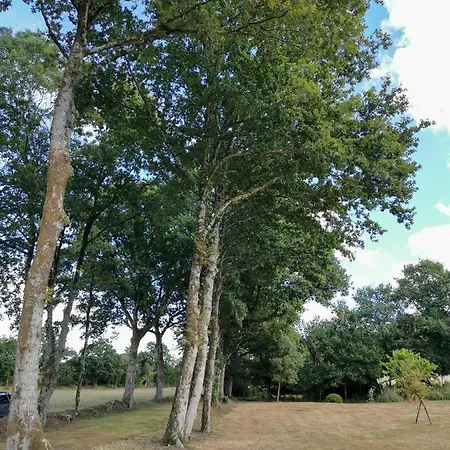 D'hote L'allee Des Chenes לינה וארוחת בוקר